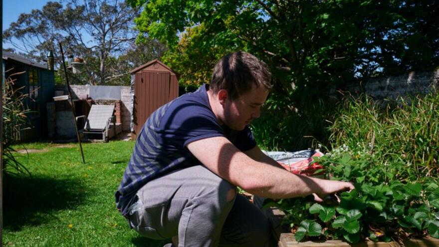 Gardening at Trelawney Plymouth