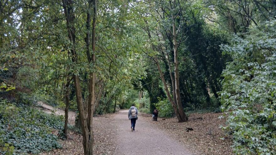 Supporter walking in forest for One Big Walk