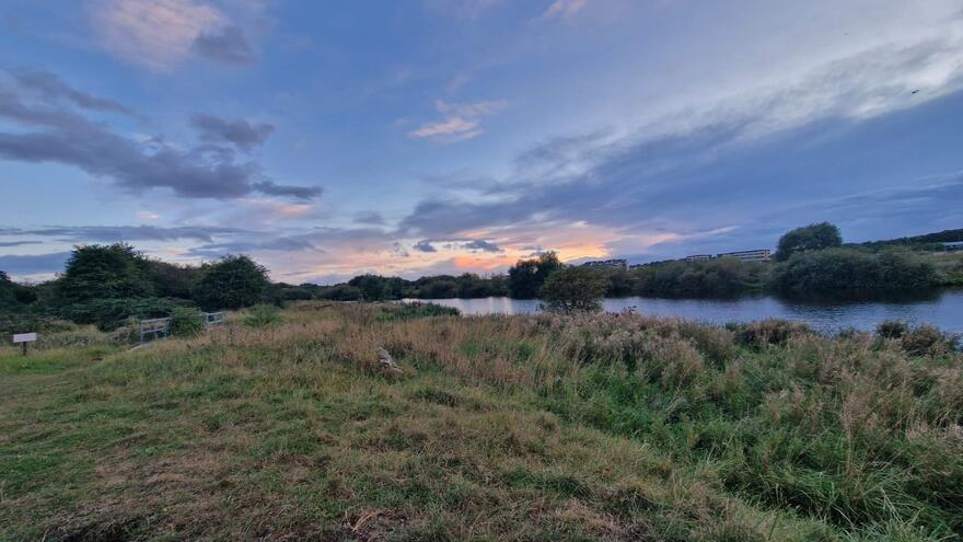 Scenery of field and sunset