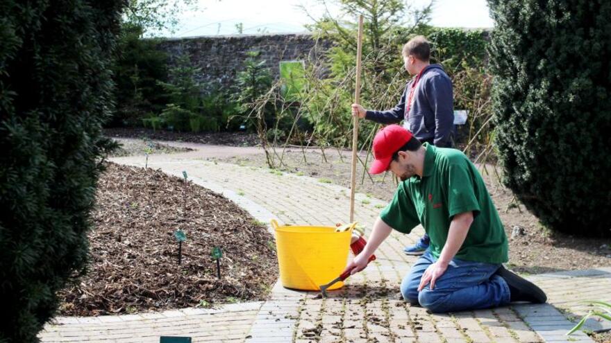 Two people gardening