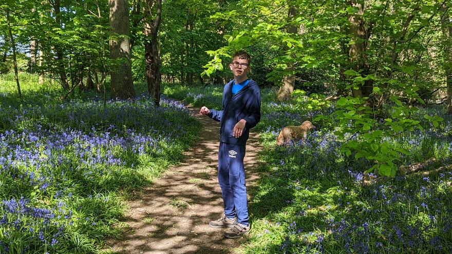 Myth Buster Freddie walking in a sunny woodland with his dog on a path