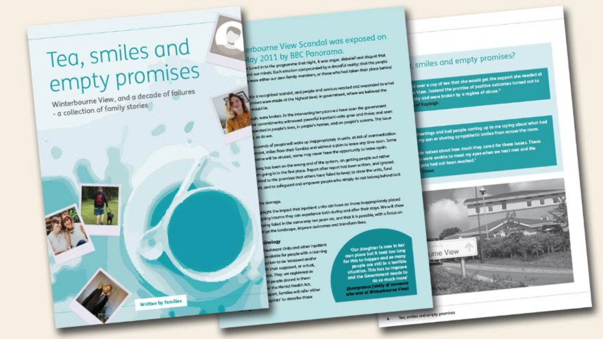 Pages from the Tea smiles and empty promises booklet