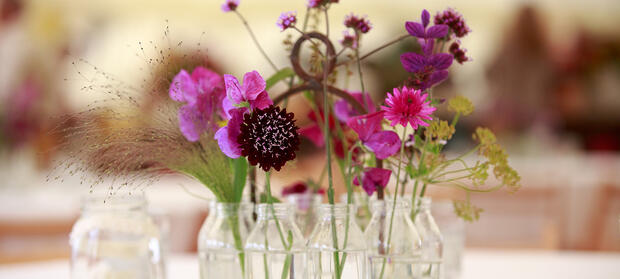 Bouquet of purple flowers placed on a table